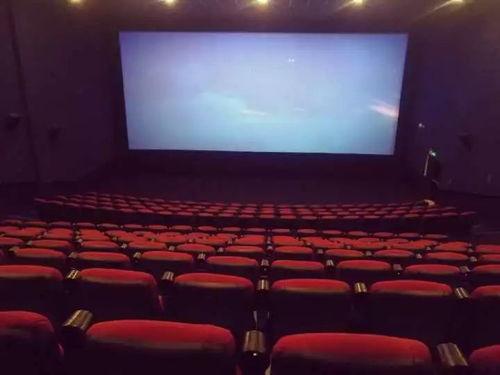 大地影院组织框架