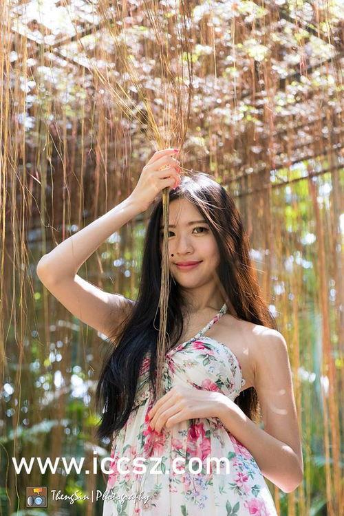 在线午夜美女写真影院,探秘在线美女写真影院的神秘世界